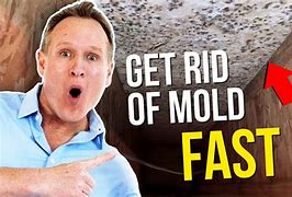 Image result for Crawl Space Mold Removal