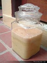 Image result for What Is a Ginger Beer Plant