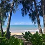 Image result for Palm Cove Beach with People