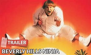 Image result for Chris Farley Ninja Movie