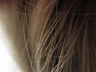 Image result for Synthetic Hair