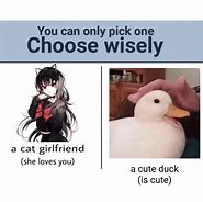 Image result for You Can Only Pick One Memes