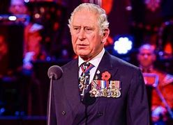Image result for Prince Charles Medals