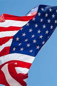 Image result for U.S. Army American Flag