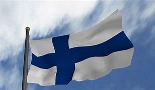 Image result for Finland Flag Facts