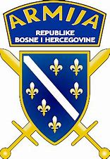Image result for Bosnian War Flag