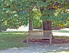 Image result for The Park Bench