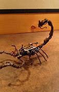 Image result for Barbed Wire Scorpion