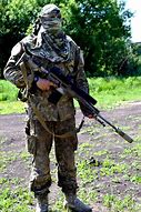 Image result for Ukraine Weapons