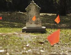 Image result for New Orleans Cemetery