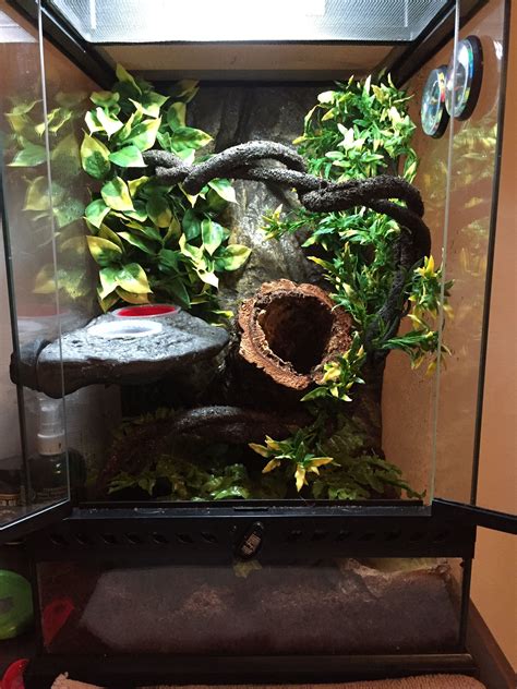 My son's 12th birthday present is a Crested Gecko. This is his 12x12x18  