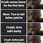 Image result for Cute Memes for Crush