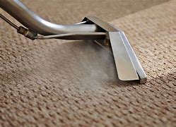Image result for Steam Carpet Cleaning
