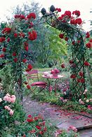 Image result for Victorian Rose Garden