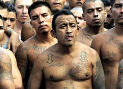 Image result for MS-13 Fights