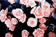 Image result for Girly Wallpapers for Laptop Dark