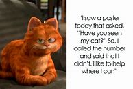Image result for Cat Clime Puns