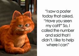 Image result for Adult Cat Jokes
