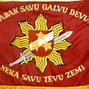 Image result for Latvia Military Equipment