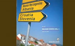 Image result for Bosnian SS
