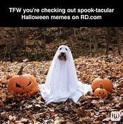 Image result for Halloween Memes Clean
