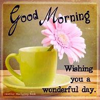 Image result for Good Morning Have a Wonderful Day
