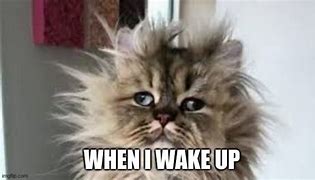 Image result for Just Woke Up Picture Meme