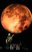 Image result for Roger Waters London Palladium