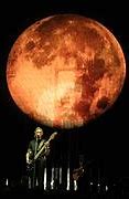 Image result for Roger Waters Van Morrison