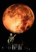 Image result for Roger Waters Tour Bassist