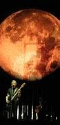 Image result for Roger Waters Tour Band