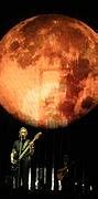Image result for Roger Waters with Gutar
