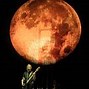 Image result for Roger Waters Horse