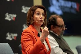 Image result for Pelosi Blouse
