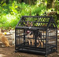 Image result for Cage Crate