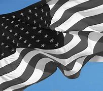 Image result for USA Flag