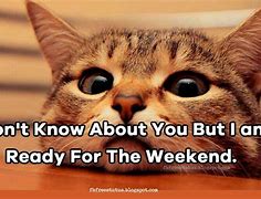 Image result for No You Have an Awesome Weekend