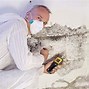 Image result for Mold in My Basement