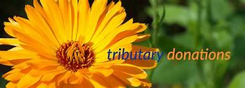 Image result for Tributary Area 9to5civil