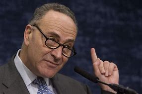 Image result for Pic of Charles Schumer