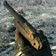 Image result for WW2 Battlefield Relics
