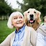 Image result for Best Dogs for Seniors and Retirees