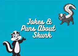 Image result for Skunk Puns