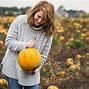Image result for Pumpkin Patch Farms Near Me