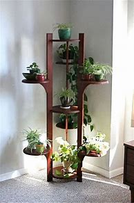 Image result for Indoor Plant Stand Ideas