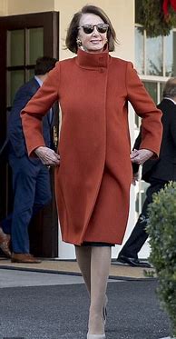 Image result for Nancy Pelosi Sunglasses and Coat