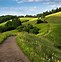 Image result for Sunny Path Art Background