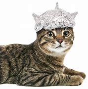Image result for Family Wearing Tin Foil Hats