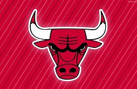 Image result for Chicago Bulls Cool Logo