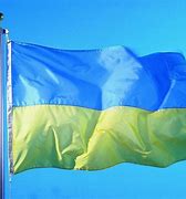Image result for Ukraine Anarchist Flag